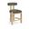 Arienzo Velvet Performance Fabric Upholstered Counter Stool Set of 2 In Green