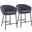 Ashland Counter Stool Set of 2 In Charcoal