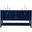 Aubrey 60 Inch Double Bathroom Vanity In Blue