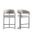 Augusta Counter Stool Set of 2 In Light Grey