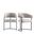 Augusta Dining Chair Set of 2 In Light Grey