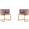 Aura Dining Chair in Blush and Polished Brass (Set of 2)