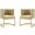 Aura Dining Chair in Sand and Polished Brass (Set of 2)