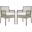 Aura Gray and White Dining Arm Chair Outdoor Patio Wicker Rattan Set of 2