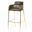 Axis Modern Gold Bar Height Chair In Charcoal