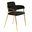 Axis Modern Gold Dining Chair In Black