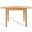 Barbossa Extendable Dining Table In Natural