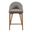 Baruch Counter Stool In Dark Gray