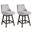 Branson 26 Inch Counter Height Swivel Barstool Set of 2 In Gray