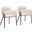 Bremor Dining Chair Set of 2 In Beige