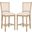 Buchanan Beige Rectangle Bar Stool Set of 2