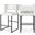 Caleb Vegan Leather Counter Stool Set of 2 In White/Matte Black
