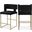 Caleb Velvet Counter Stool Set of 2 In Black/Brushed Gold