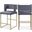 Caleb Velvet Counter Stool Set of 2 In Grey/Brushed Gold