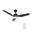 Calen 52 Inch 3-Blade Flush Mount Smart Ceiling Fan with LED Light and Remote In Black and Gold