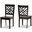 Caron Modern and Contemporary Transitional Dark Brown Finished Wood 2-Piece Dining Chair Set