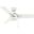 Cassius 36 Inch Damp Rated Ceiling Fan and Pull Chain In Fresh White