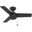Cassius 36 Inch Damp Rated Ceiling Fan and Pull Chain In Matte Black