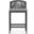Catalina Counter Stool with Cushion In Moon and Matte Charcoal