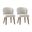 Cecilia Dining Chair Set Of 2 In White