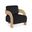 Cedra Velvet Performance Fabric Upholstered Accent Chair In Black