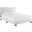 Celine Channel Tufted Performance Velvet Queen Bed MOD-6330-PNK