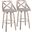 Charlotte 30 Inch Fixed Height Barstool Set of 2 In Light Gray/Chrome