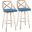 Charlotte 30 Inch Fixed Height Barstool Set of 2 In Teal Blue