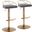 Charlotte Glam Adjustable Barstool Set of 2 In Gray and Gold