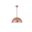 Circa 1 Light Honey Gold Pendant LDPD2042HG