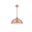 Circa 1 Light Honey Gold Pendant LDPD2044HG