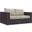 Convene Espresso Beige Outdoor Patio Loveseat