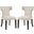 Curve Beige Dining Side Chair Fabric Set of 2