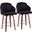 Dahlia Counter Stool Set of 2 In Black