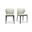 Delaney Beige Side Chair Set of 2