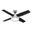 Dempsey 44 Inch Ceiling Fan with LED Light Kit and Handheld Remote In Brushed Nickel and Black Oak