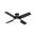 Dempsey 44 Inch Low Profile Damp Rated Ceiling Fan with LED Light Kit and Handheld Remote In Matte Black