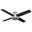 Dempsey 52 Inch Low Profile Ceiling Fan and Handheld Remote In Brushed Nickel and Black Oak