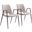 Desi Dining Chair Set of 2 In Beige and Walnut