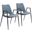 Desi Dining Chair Set of 2 In Azure Gray