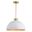 Devon 16 Inch Pendant In Glossy White and Satin Brass