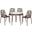 Devon 5 Piece Outdoor Patio Dining Set with Side Chair In Brown