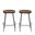 Diya 24.5 Inch Counter Stool - Set of 2 In Chestnut Seat and Black Base