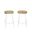 Diya 24.5 Inch Counter Stool - Set of 2 In Natural Seat and White Base
