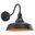 Dorado 12 Inch Outdoor Wall Light In Dark Bronze and Light Gold