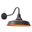Dorado 15 Inch Outdoor Wall Light In Dark Bronze and Light Gold