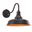 Dorado 9 Inch Outdoor Wall Light In Dark Bronze and Light Gold