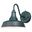 Dorado 9 Inch Outdoor Wall Light In Hunter Green and White