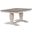 Trestle Transitional Dining Table In Distressed Ash and Stormy White