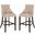 Eleni Beige Tufted Wing Back Bar Stool Set of 2